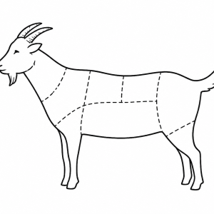 KOŹLĘCINA